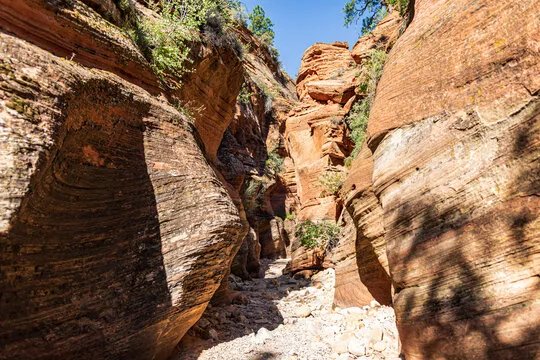 棋牌卡牌 游戏背景